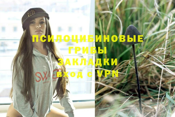 jwh Богородицк