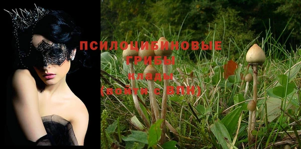 jwh Богородицк