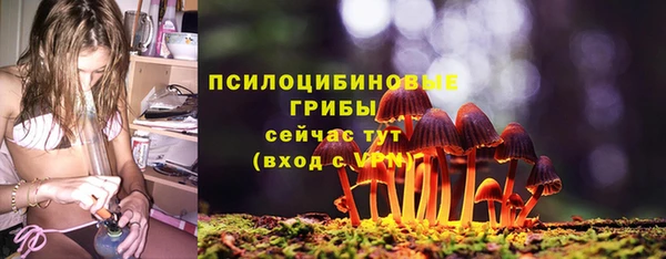 jwh Богородицк