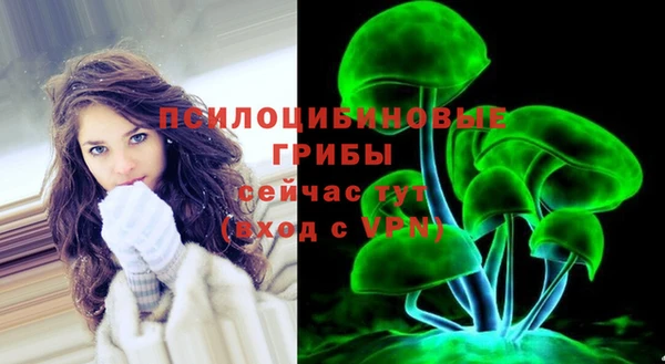 марки lsd Богданович